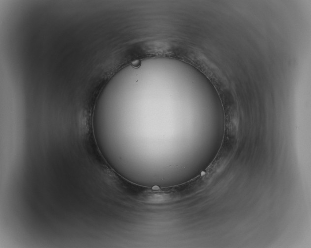 X0000102530658200808151556