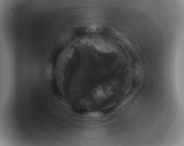 X0000102530659200808151556