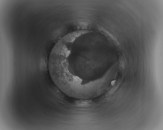 X0000102530661200808151556