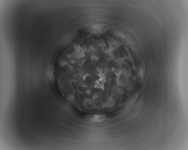 X0000102530663200808151556