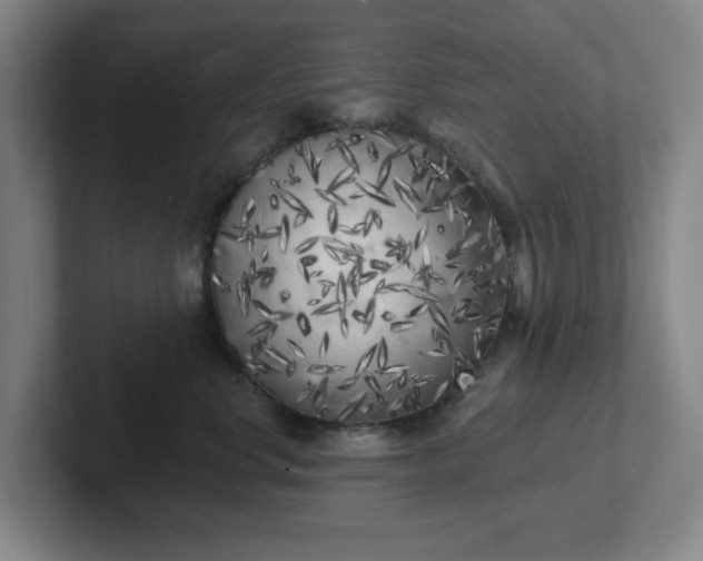X0000102530668200808151556