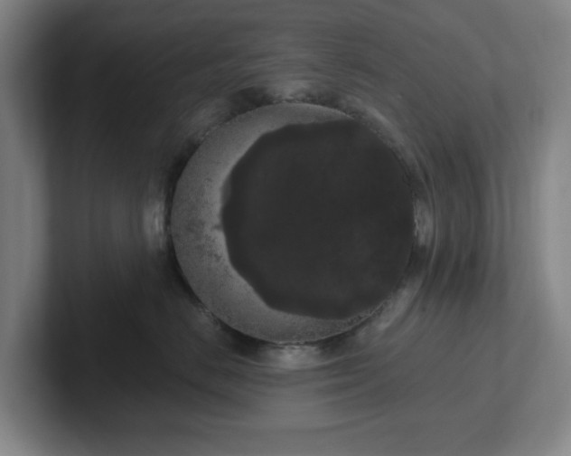 X0000102530670200808151556