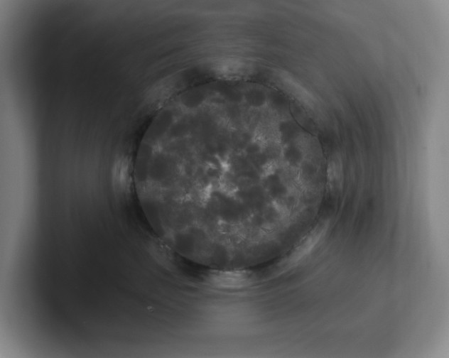 X0000102530671200808151556