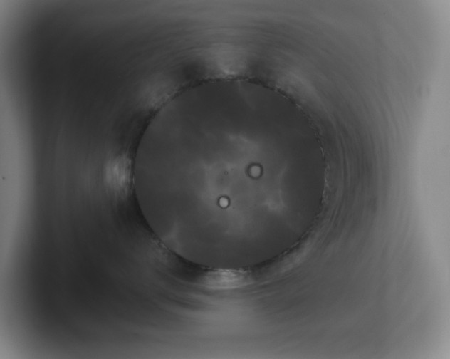 X0000102530672200808151556