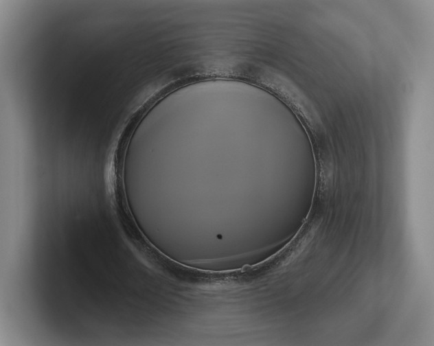 X0000102530674200808151556