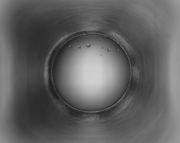 X0000102530676200808151556