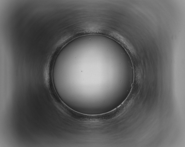 X0000102530677200808151556