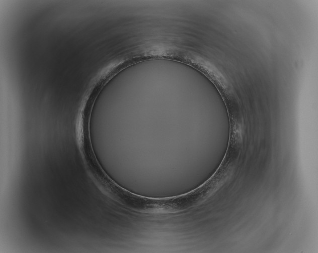 X0000102530678200808151556