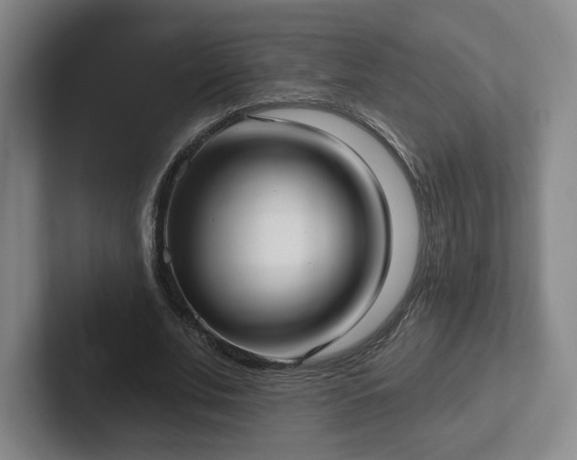 X0000102530679200808151556