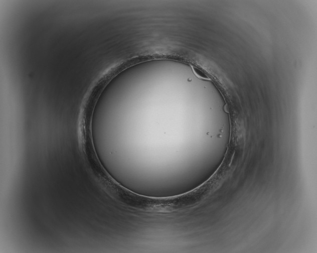 X0000102530680200808151556