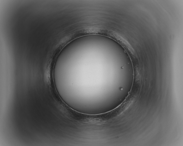 X0000102530681200808151556