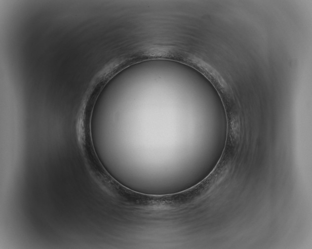 X0000102530682200808151556