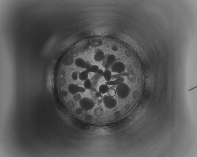 X0000102530683200808151556