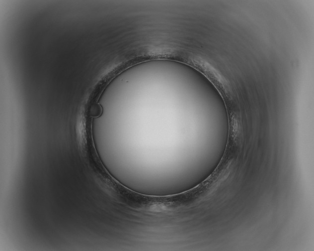 X0000102530684200808151556