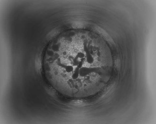 X0000102530687200808151556