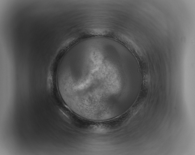 X0000102530688200808151556