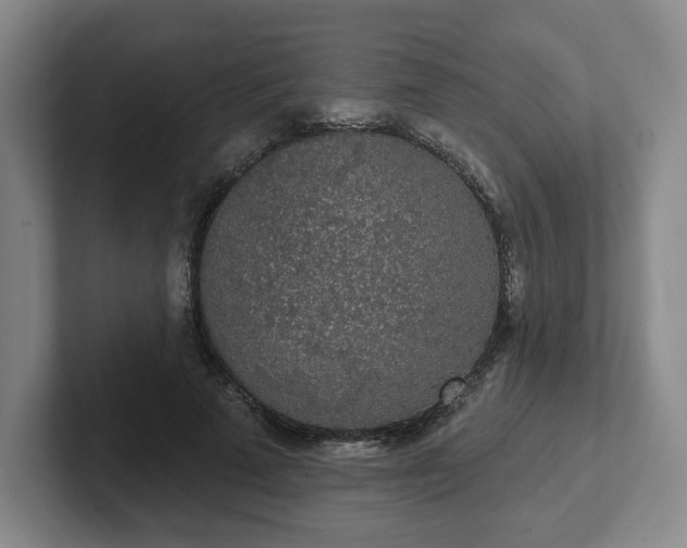 X0000102530689200808151556