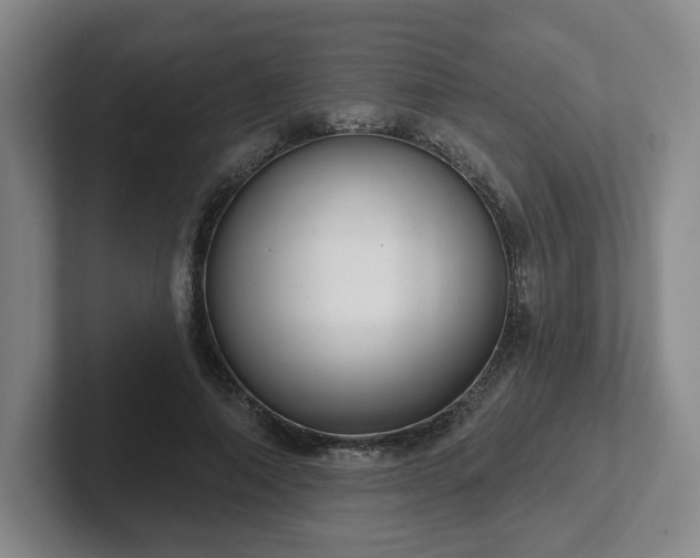 X0000102530690200808151556