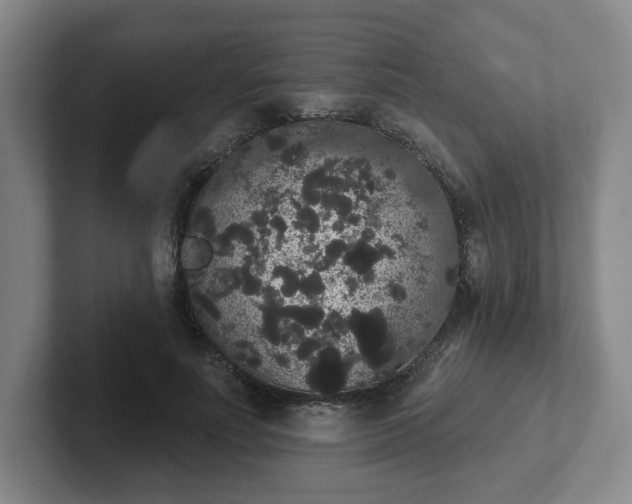 X0000102530691200808151556