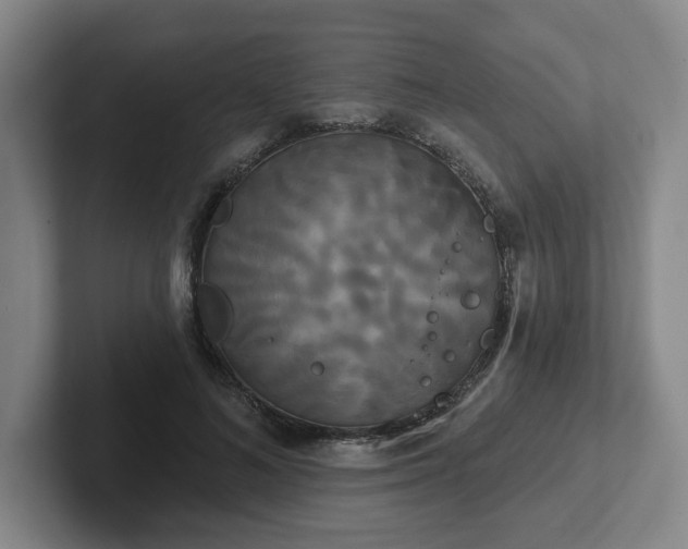 X0000102530692200808151556