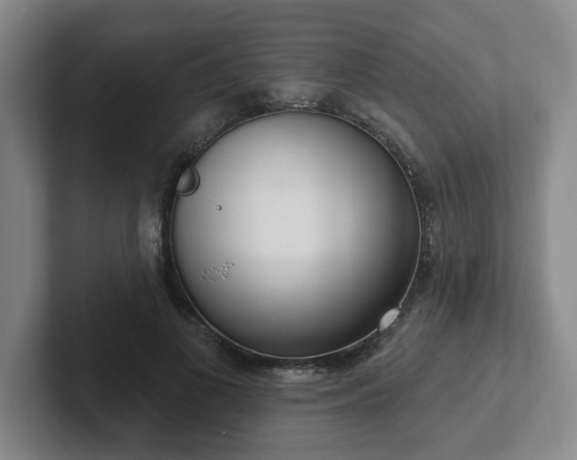 X0000102530693200808151556