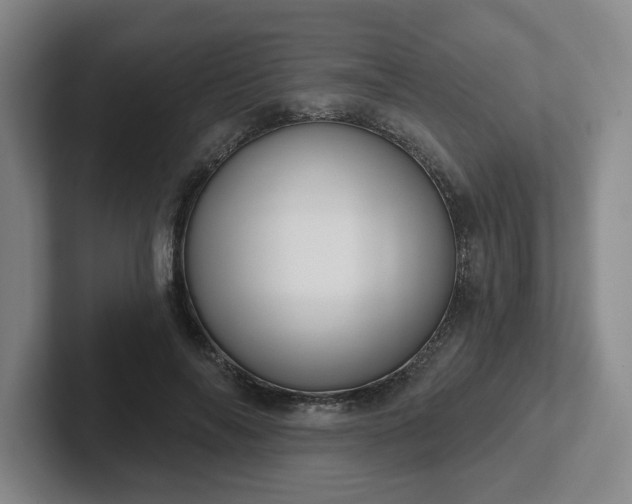 X0000102530694200808151556