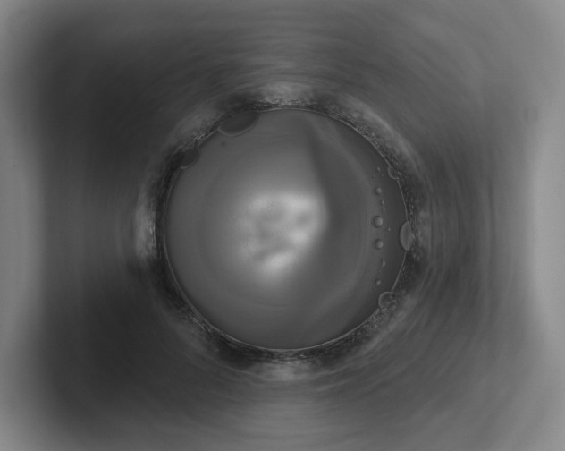 X0000102530696200808151555