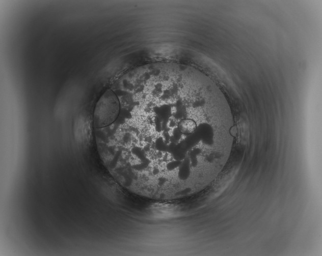 X0000102530699200808151555