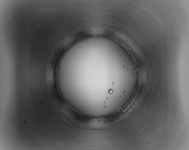 X0000102530700200808151555