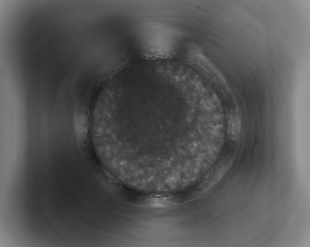 X0000102530701200808151555