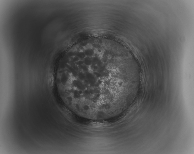 X0000102530703200808151555