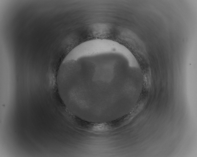 X0000102530705200808151555