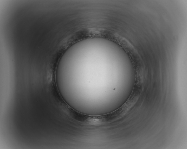 X0000102530706200808151555