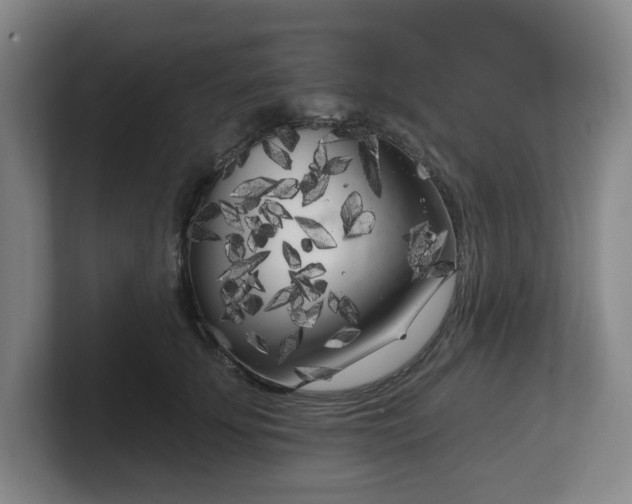 X0000102530707200808151555