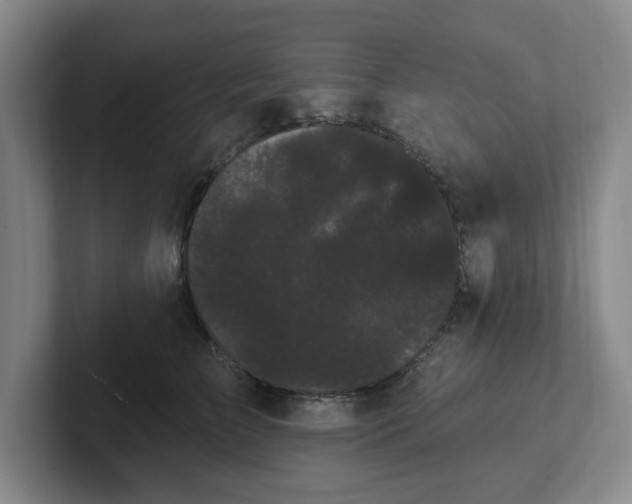 X0000102530709200808151555