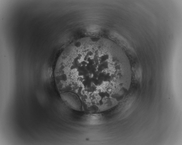 X0000102530711200808151555