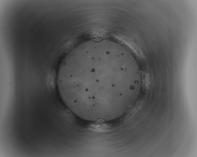 X0000102530712200808151555