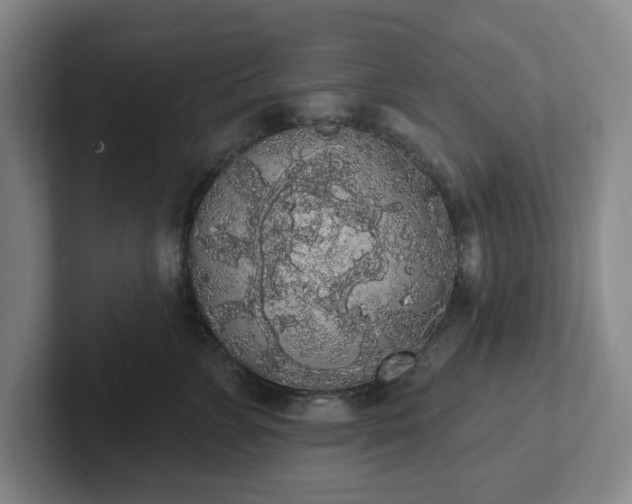 X0000102530715200808151555