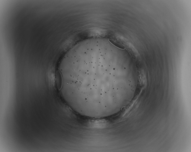 X0000102530716200808151555