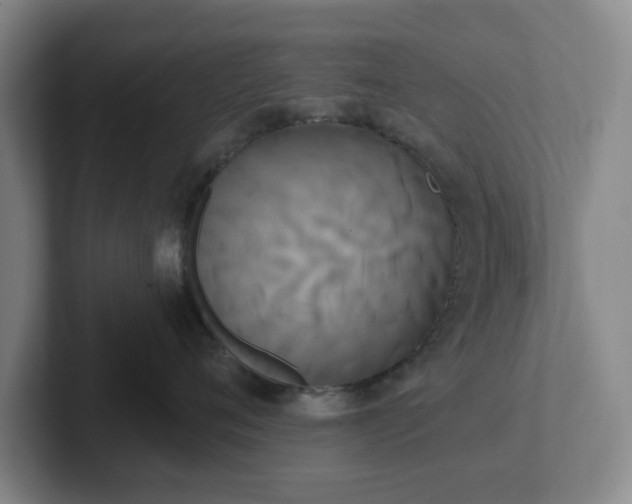 X0000102530720200808151555