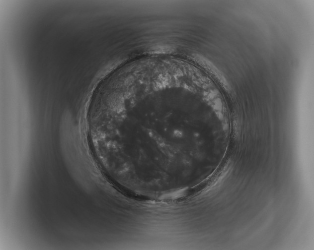 X0000102530721200808151554