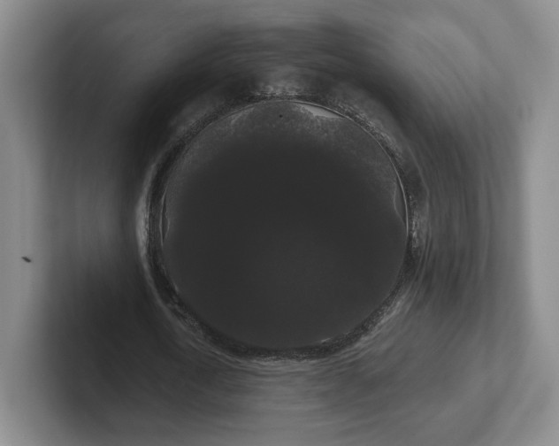 X0000102530722200808151554