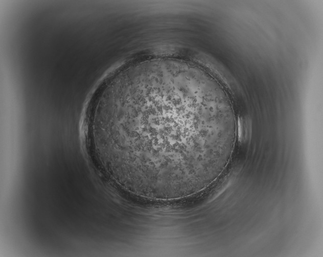 X0000102530723200808151554