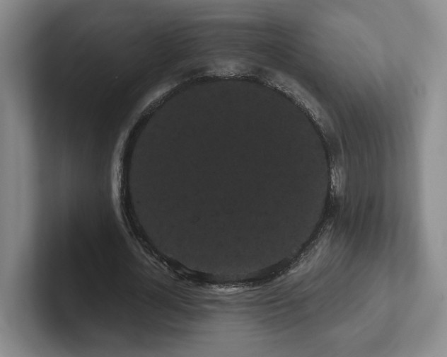 X0000102530724200808151555