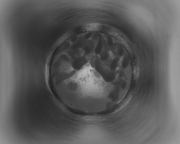 X0000102530725200808151555