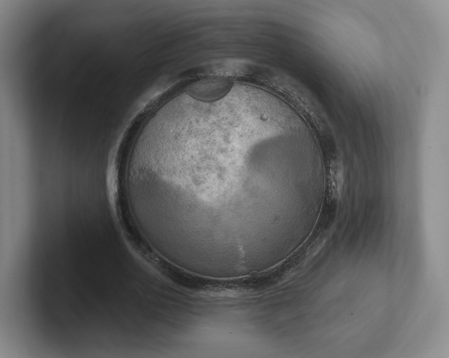 X0000102530726200808151555