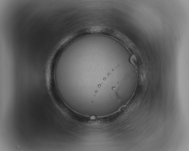 X0000102530728200808151555