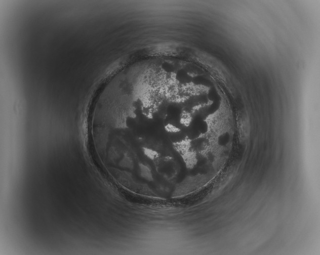 X0000102530729200808151555