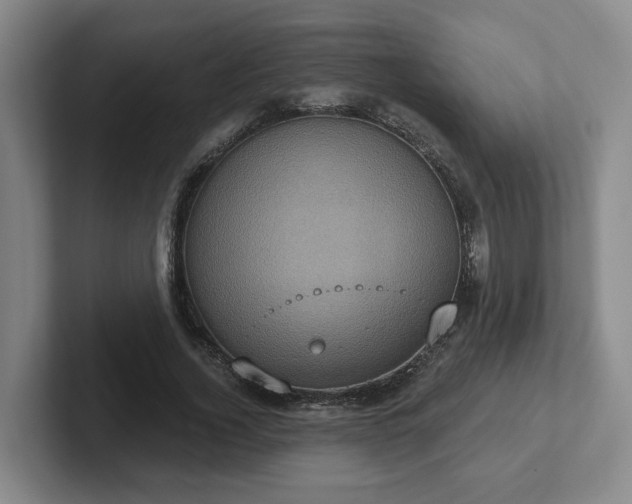 X0000102530732200808151555