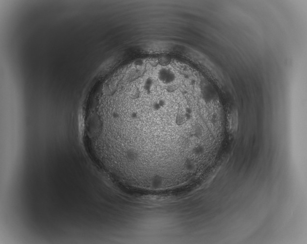 X0000102530733200808151555